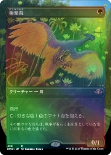 極楽鳥 (Borderless) (Birds of Paradise (Borderless)) | Dominaria