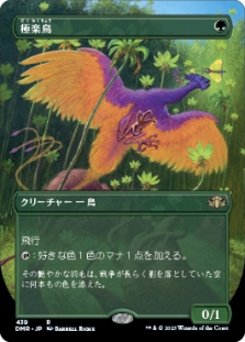 極楽鳥 (Borderless) (Birds of Paradise (Borderless)) | Dominaria