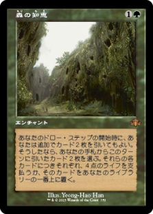 森の知恵 (Retro Frame) (Sylvan Library (Retro Frame)) | Dominaria