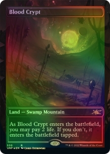 Blood Crypt (Borderless) (Galaxy Foil) | Unfinity English Foil